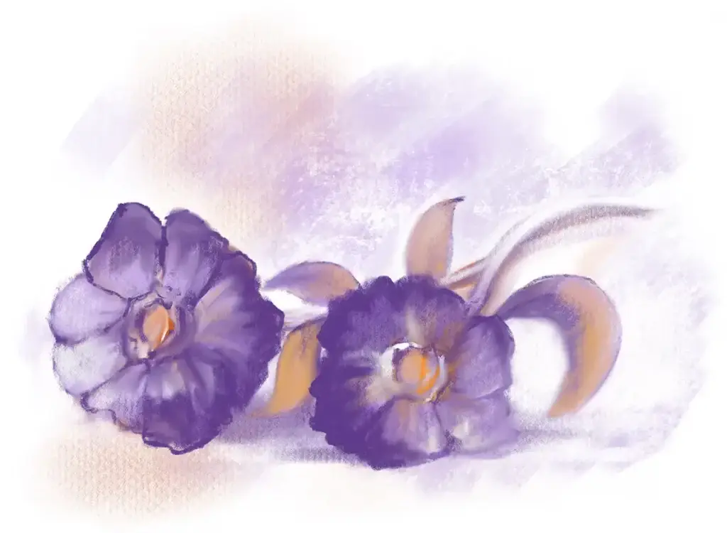 Etude_De_Fleurs