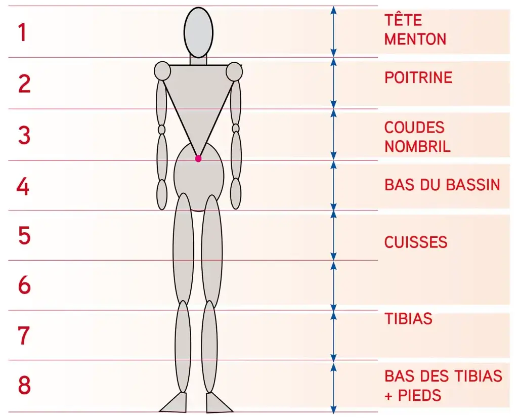 Personnage_Proportions_generale.visuel