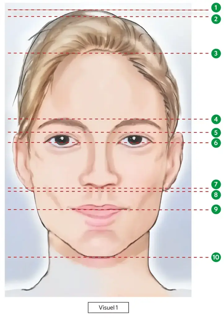 Portrait_et_proportions_visuel_1