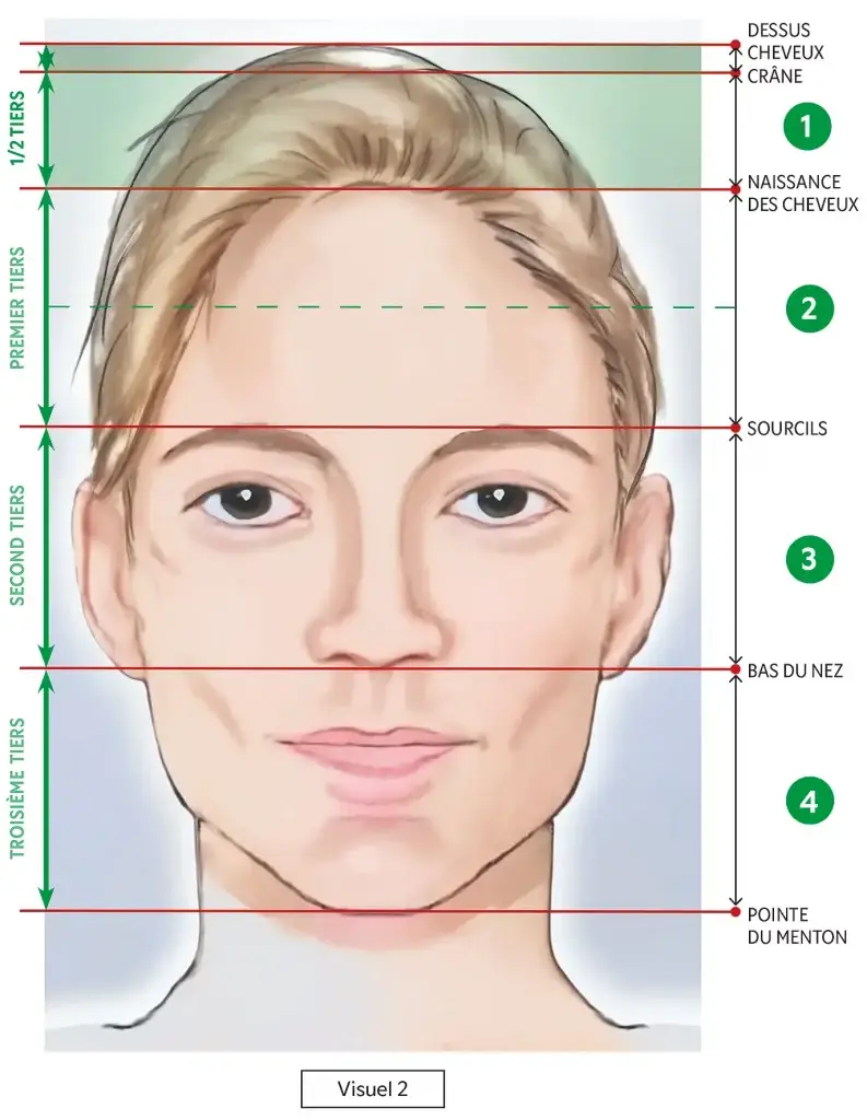 Portrait_et_proportions_visuel_2