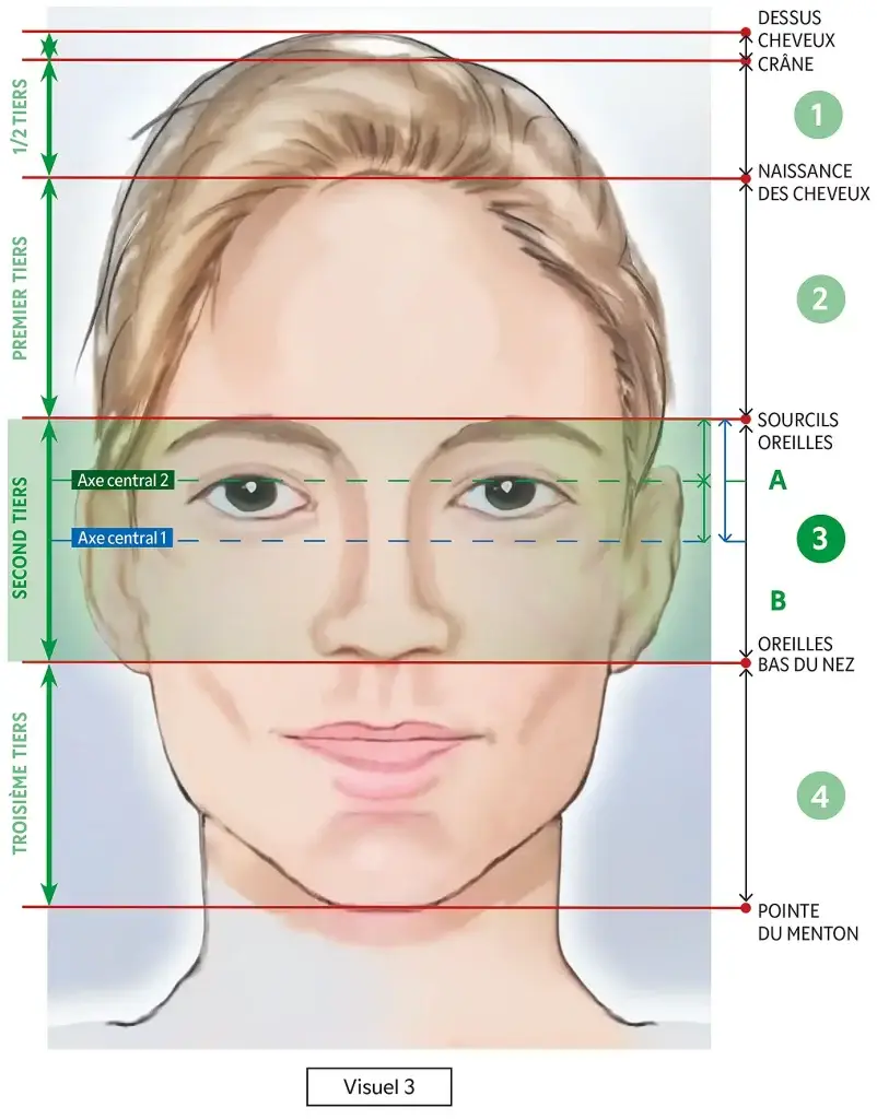 Portrait_et_proportions_visuel_3