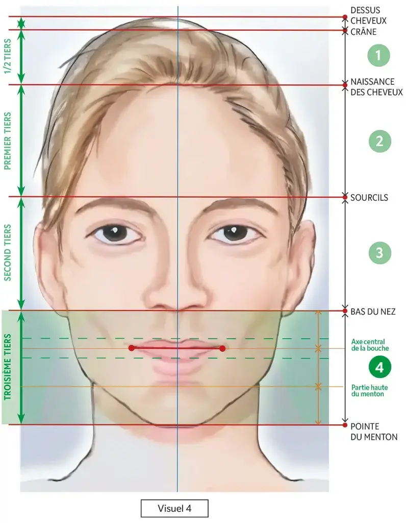 Portrait_et_proportions_visuel_4