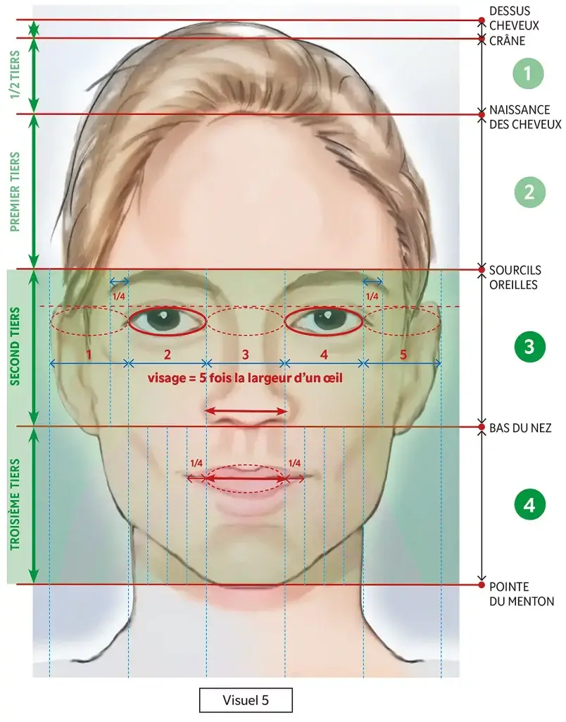 Portrait_et_proportions_visuel_5